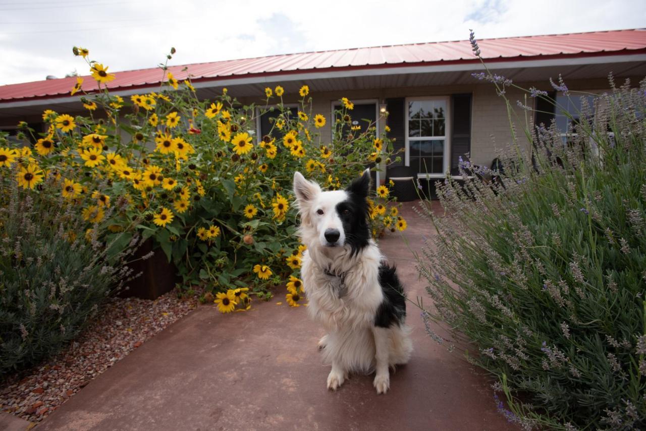 The Flagstone Boutique Inn & Suites Kanab Kültér fotó